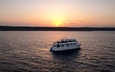 Protaras
